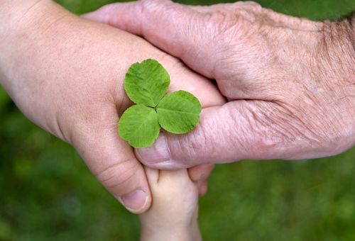 Risultato d'esercizio 2017