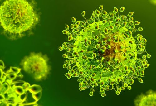 La situazione è preoccupante