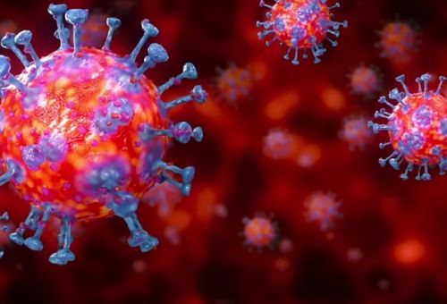Il virus circola indisturbato