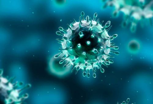 Breve tregua per Natale