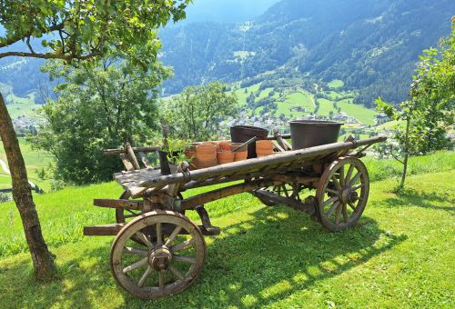 Estate all'aperto per gli ospiti del CSVP