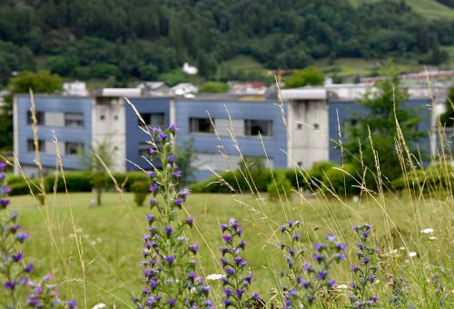 Relazione annuale 2020