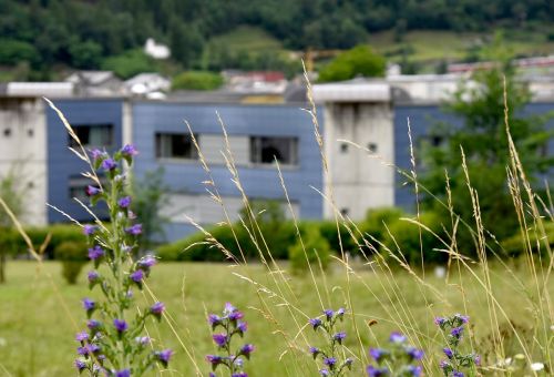 La psico oncologa al Centro sanitario